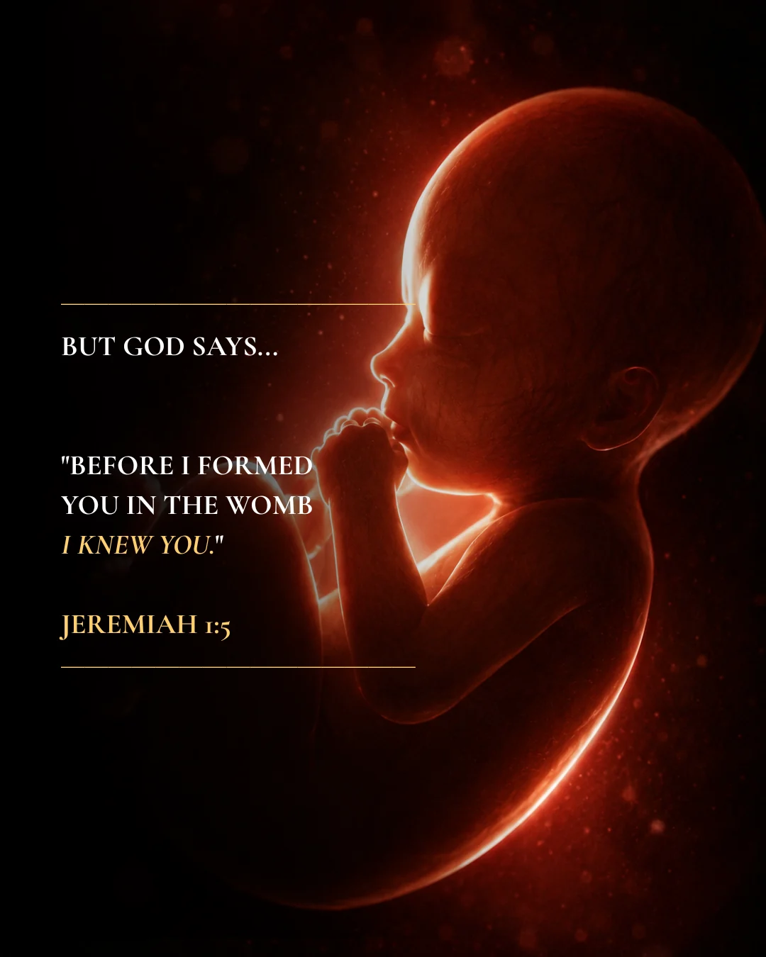 Meta ad creative: Jeremiah quotation concept